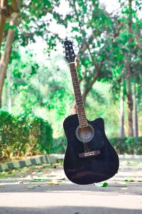 Best Acoustic Guitar in India