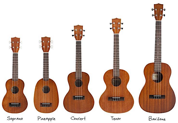 Types of Ukulele India - 7 Best Ukulele for Beginners & Experts India - Buying Guide (2022)