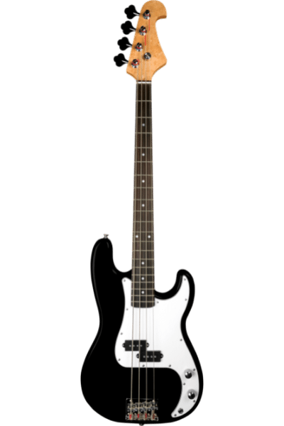 Bass Guitars - 7 Different Types of Guitar: Know These Before Buying One!