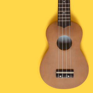 Best Ukulele brands in India 300x300 - How to Buy A Ukulele in India: The 2021 Ukulele Buying Guide